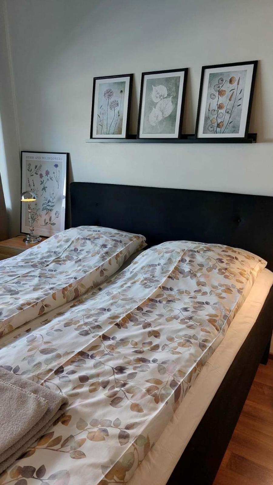 Scandinavian Home Рованиеми Экстерьер фото