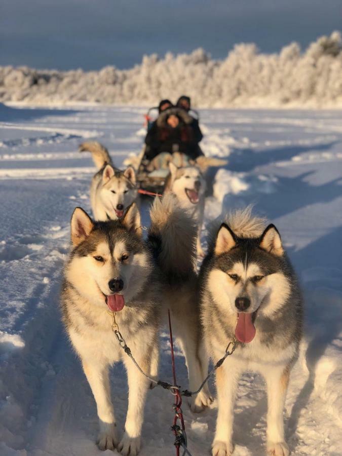 Scandinavian Home Рованиеми Экстерьер фото
